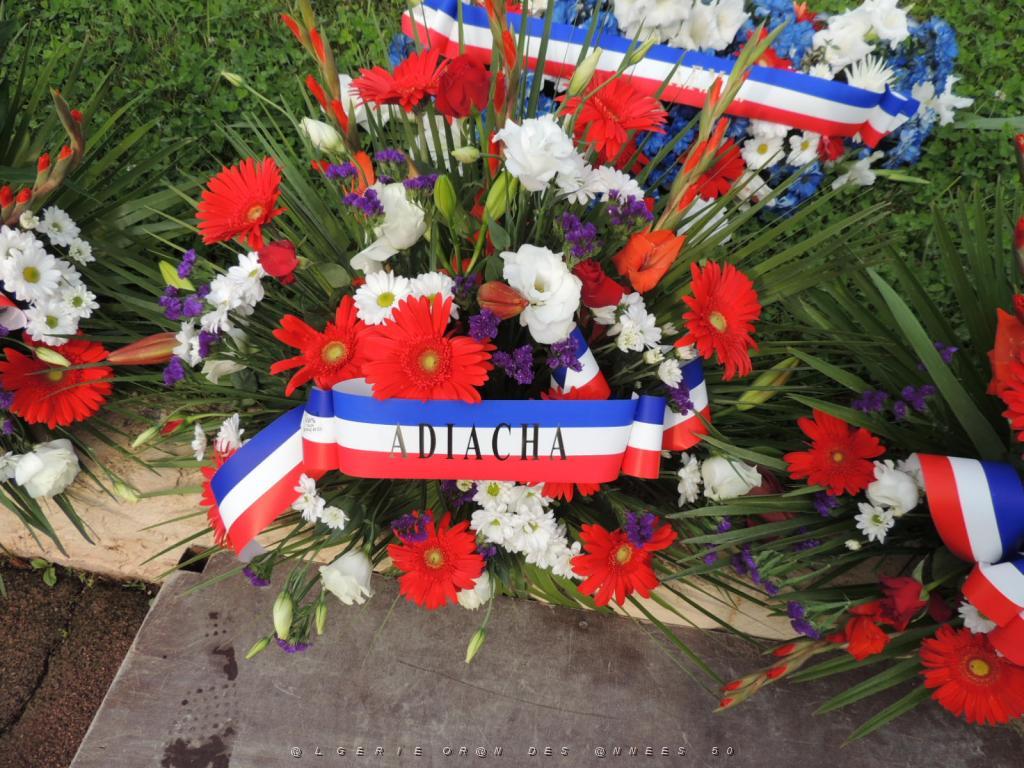 2017 09 25 TOULON HOMMAGE AUX HARKIS ET MEMBRES DES FORMATIONS SUPPLETIVES (10).JPG